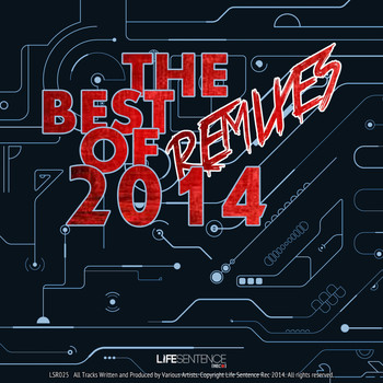 Various Artists - The Best Remixes Of 2014