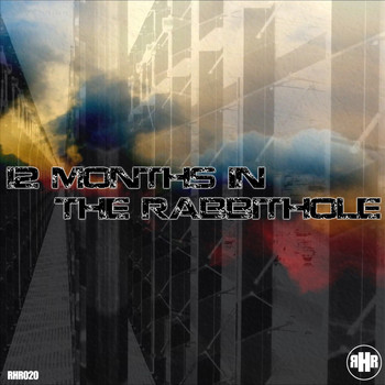 Various Artists - 12 Months In The Rabbithole