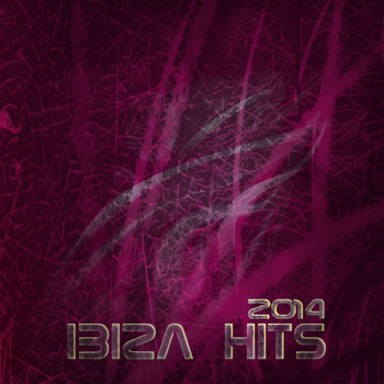 Various Artists - Ibiza Hits 2014