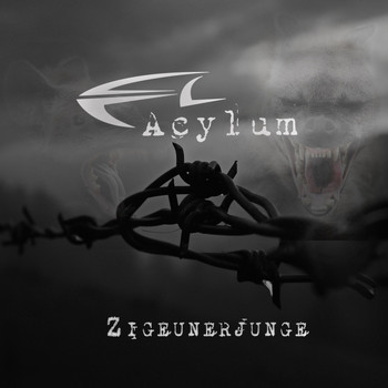 Acylum - Zigeunerjunge