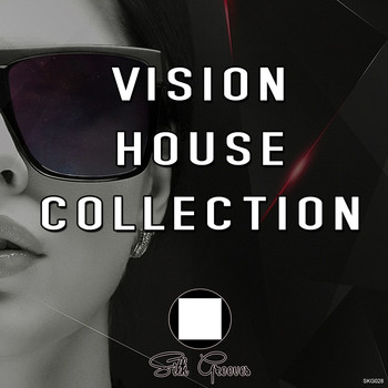 Various Artists - Vision House Collection