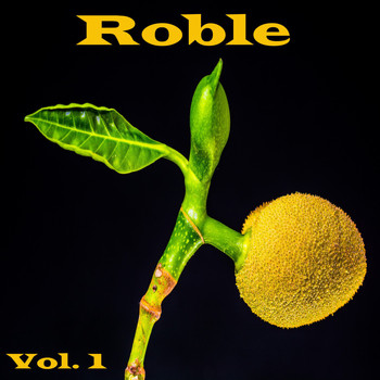 Various Artists - Roble, Vol. 1