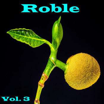 Various Artists - Roble, Vol. 3