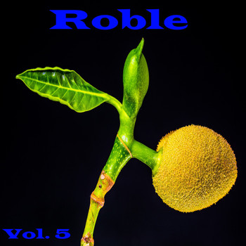 Various Artists - Roble, Vol. 5