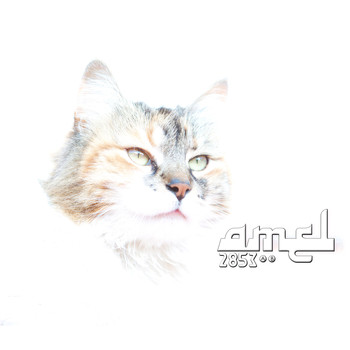 Amel - 2853