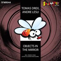 Tomas Drex, Andre Lesu - Objects In The Mirror