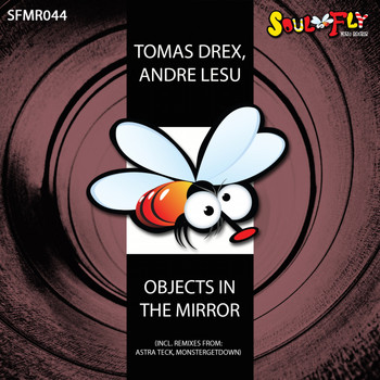 Tomas Drex, Andre Lesu - Objects In The Mirror