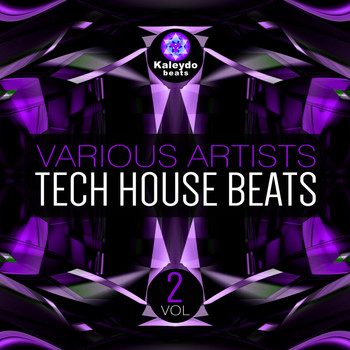 Various Artists - Tech House Beats Vol. 2