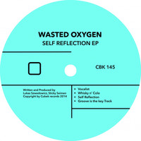 Wasted Oxygen - Self Reflection