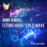 Denis Sender - Flying High / Cold Wave