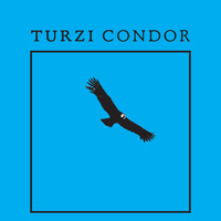Turzi - Condor - EP