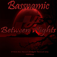 Bassnamic - Between Nights