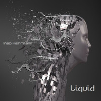 Ingo Herrmann - Liquid
