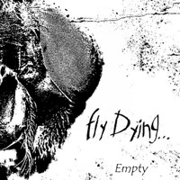 Fly Dying - Empty