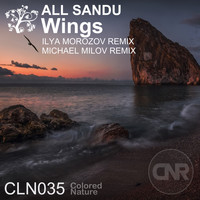 All Sandu - Wings (Remixes)