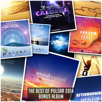 Various Artists - The Best Of Pulsar 2014 (Bonus Album)