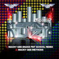 Macky Gee - Snake Fist School Remix & Methods