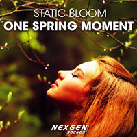Static Bloom - One Spring Moment