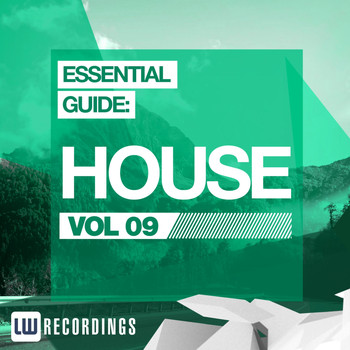 Various Artists - Essential Guide: House Vol. 09