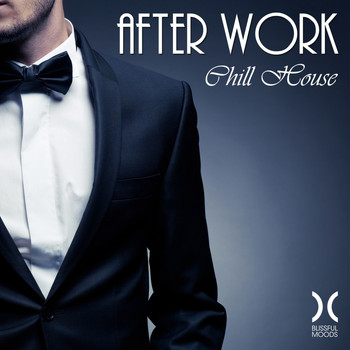 Various Artists - After Work Chill House