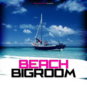 Various Artists - Beach Bigroom