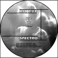 Fly307 - Spectro Bsc 0.33