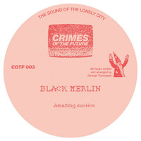 Black Merlin - Amazing Exotics