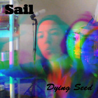Dying Seed - Sail