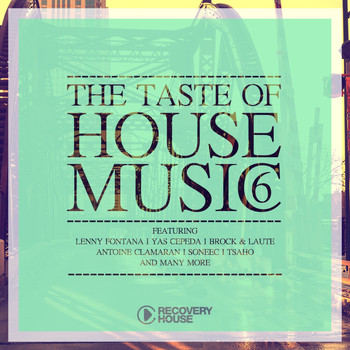 Various Artists - The Taste of House Music, Vol. 6