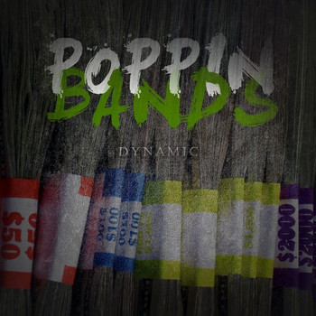 Dynamic - Poppin Bands