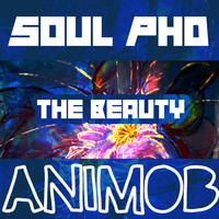 Soul Phd - The Beauty