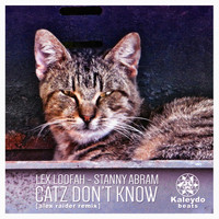 Lex Loofah, Stanny Abram - Catz Don't Know (Alex Raider Remix)