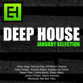Various Artists - Deep-House January Selection