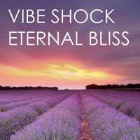 Vibe Shock - Eternal Bliss