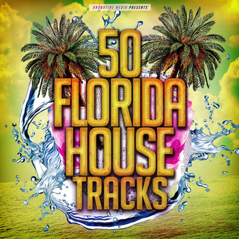 Various Artists - 50 Florida House Tracks