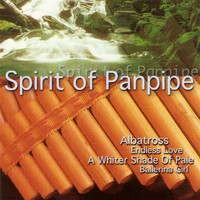 The Gino Marinello Orchestra - Spirit of Panpipe