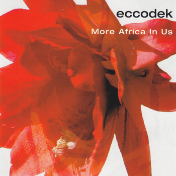 eccodek - More Africa in Us