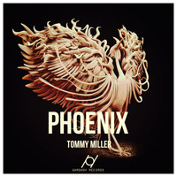 Tommy Miller - Phoenix