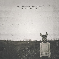Hidden In Plain View - Animal