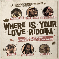 Little Lion Sound - Where Is Your Love Riddim