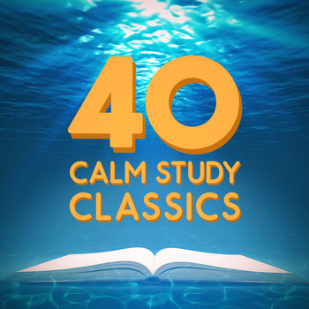 Best Relaxation Music - 40 Calm Study Classics