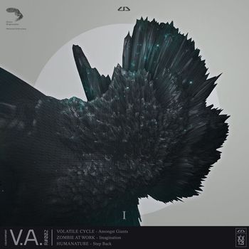 Volatile Cycle - Various Artists