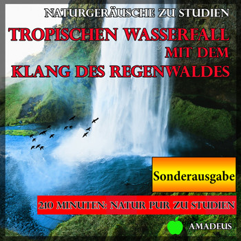 Amadeus - Naturgeräusche zu Studien: Tropischen Wasserfall mit dem Klang des Regenwaldes: Sonderausgabe