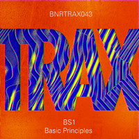 BS1 - Basic Principles