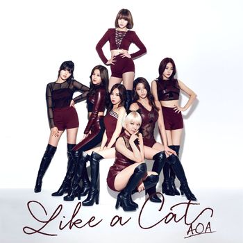 AOA - Like A Cat