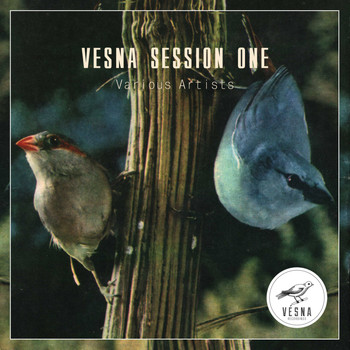 Various Artists - Vesna Session One