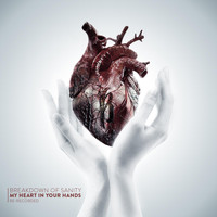 Breakdown of Sanity - My Heart in Your Hands (Re-Recorded)