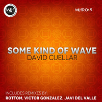 David Cuellar - Some Kind of Wave