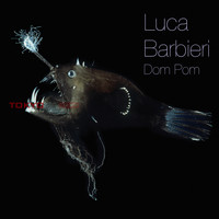 Luca Barbieri - Dom Pom