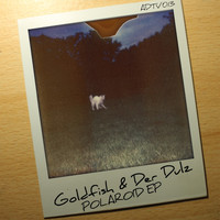 Goldfish & der Dulz - Polaroid